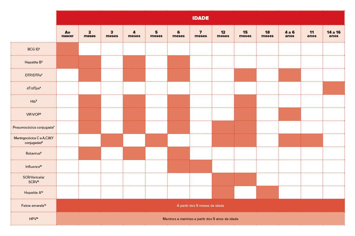 Veja o calendário completo de vacinação da criança 