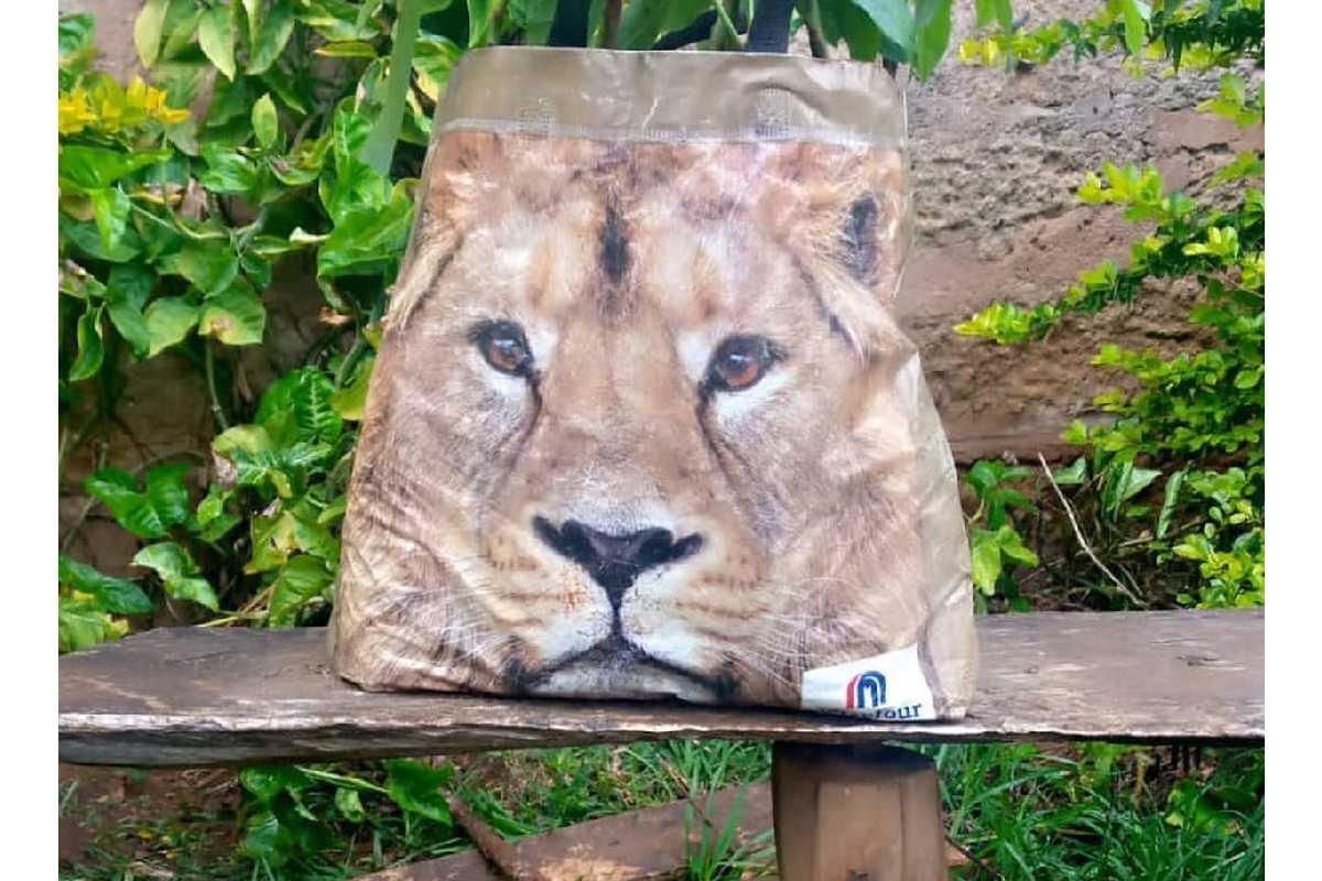 No Quênia, uma sacola deixada embaixo da escada causou uma confusão em uma vila, já que moradores acharam que havia um leão ali 