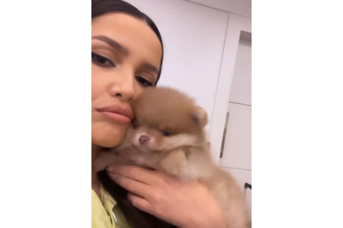 Juliette mostrou seus novos cachorros nos stories do Instagram 