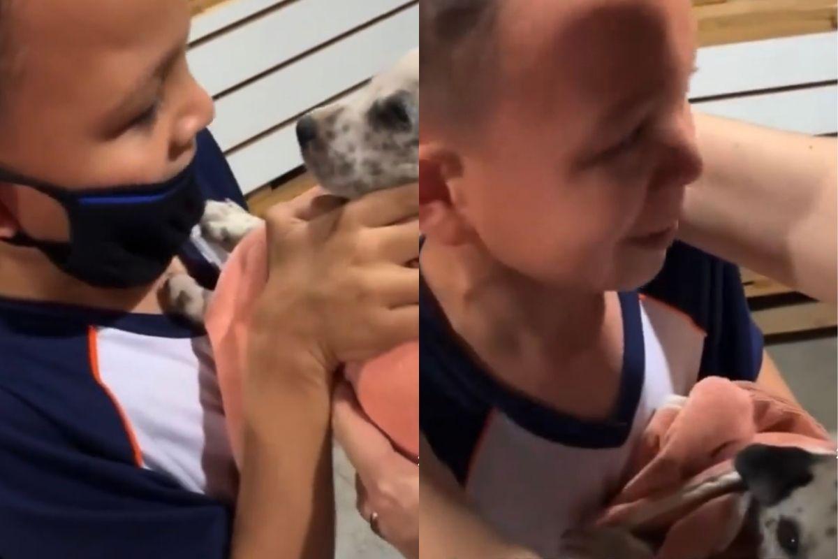 Criança chora ao ganhar filhote de cachorro dos pais