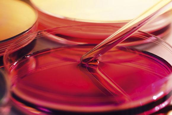 Os cientistas procuram usar as células do próprio corpo da criança para combater o câncer (Foto: Shutterstock)