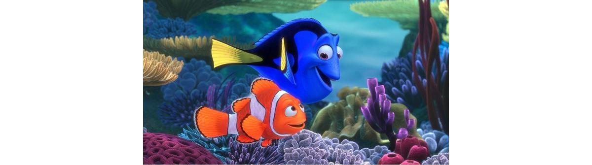 Procurando Nemo (Foto/Reprodução)