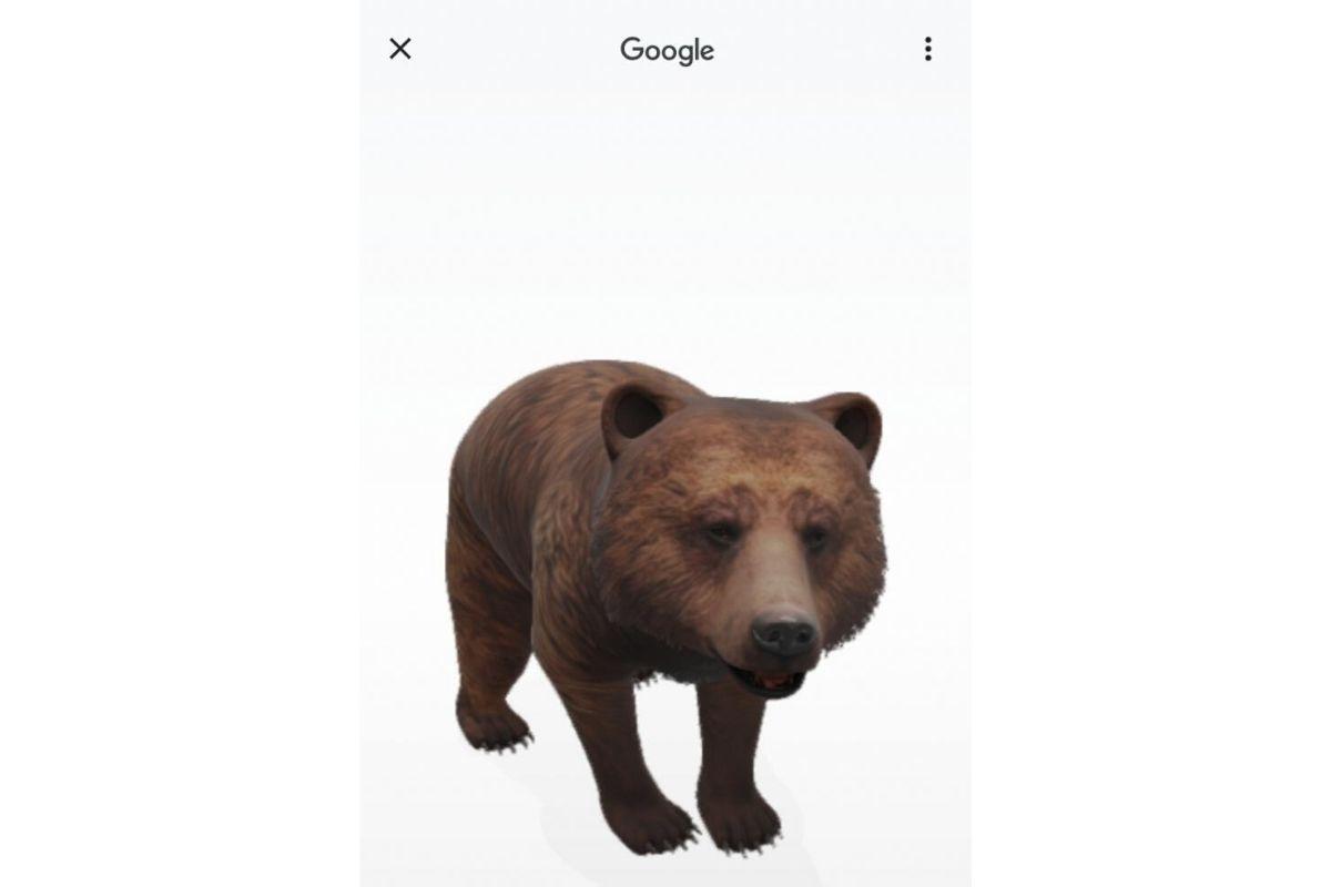 Google cria ferramenta de realidade virtual para seu filho brincar com  animais em 3D durante a quarentena