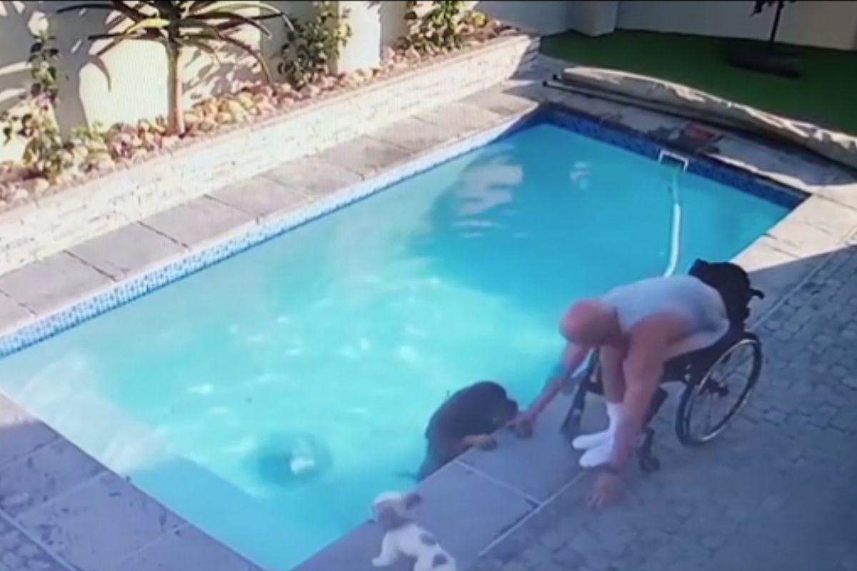 O homem conduziu o cachorro até a escada da piscina 
