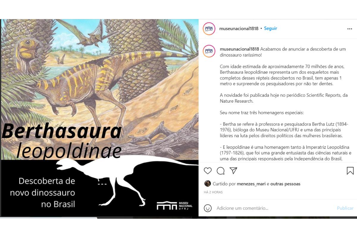 A descoberta sobre a Berthasaura Leopoldinae foi divulgada nas redes sociais do Museu Nacional