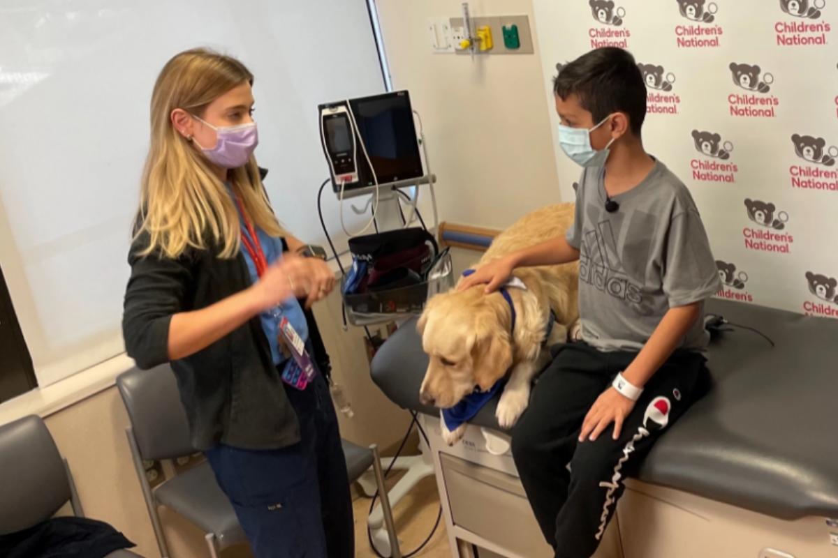 Cães acalmam crianças que tomam vacina nos Estados Unidos